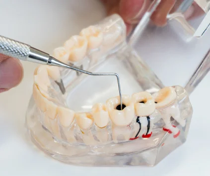 General Dentistry
